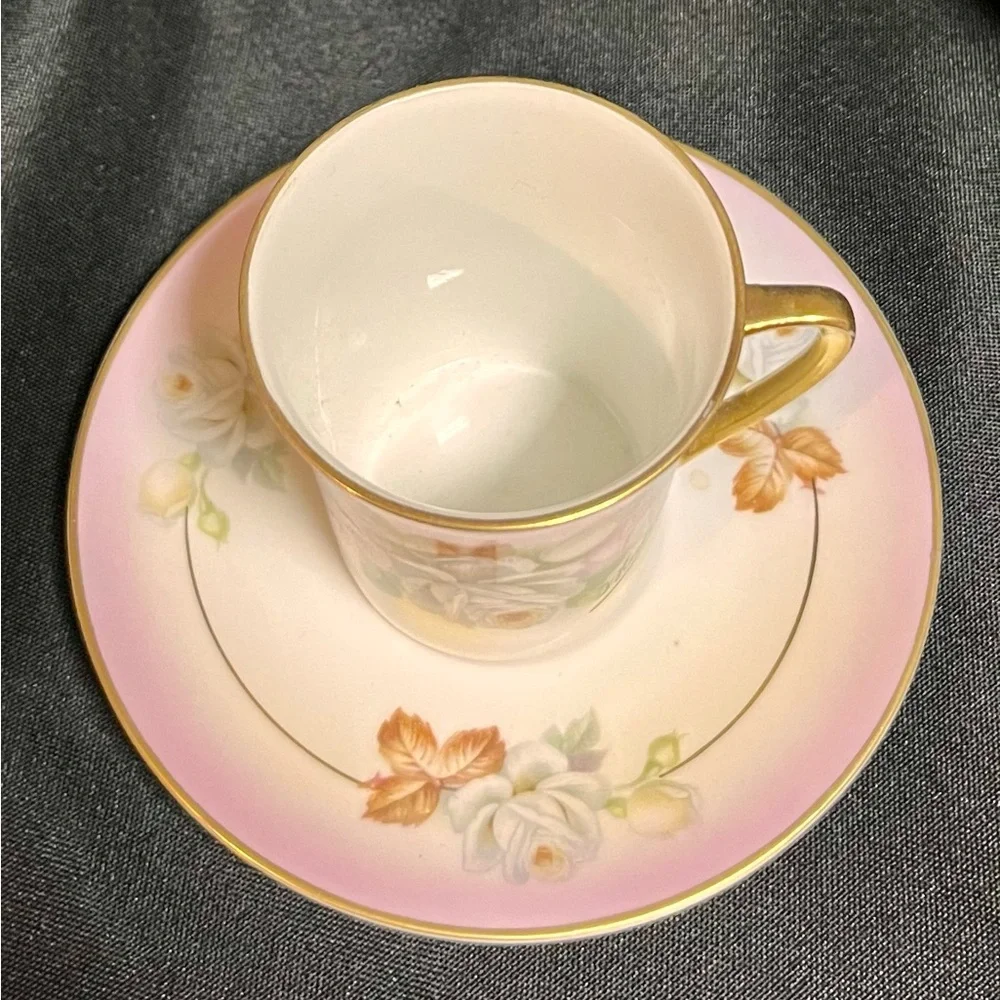 Antique Royal Rudolstadt Chocolate Cup Saucer Hand Painted F. Kahn Mint Cond